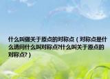 什么叫做關(guān)于原點(diǎn)的對(duì)稱點(diǎn)（對(duì)稱點(diǎn)是什么請(qǐng)問(wèn)什么叫對(duì)稱點(diǎn)?什么叫關(guān)于原點(diǎn)的對(duì)稱點(diǎn)?）