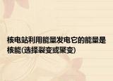 核電站利用能量發(fā)電它的能量是核能(選擇裂變或聚變)
