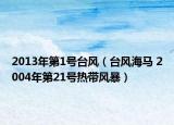 2013年第1號臺風(fēng)（臺風(fēng)海馬 2004年第21號熱帶風(fēng)暴）