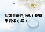 我如果愛你小說（我如果愛你 小說）