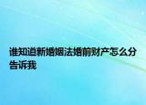 誰知道新婚姻法婚前財產怎么分告訴我