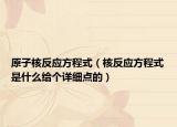 原子核反應(yīng)方程式（核反應(yīng)方程式是什么給個詳細(xì)點的）