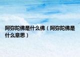 阿彌陀佛是什么佛（阿彌陀佛是什么意思）