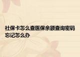 社?？ㄔ趺床獒t(yī)保余額查詢密碼忘記怎么辦