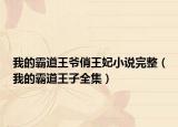 我的霸道王爺俏王妃小說完整（我的霸道王子全集）
