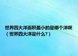 世界四大洋面積最小的是哪個洋啊（世界四大洋是什么?）