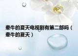牽牛的夏天電視劇有第二部嗎（牽牛的夏天）