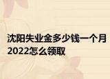 沈陽失業(yè)金多少錢一個月2022怎么領取