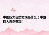 中國四大自然奇觀是什么（中國四大自然奇觀）