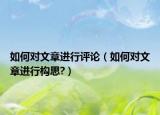 如何對(duì)文章進(jìn)行評(píng)論（如何對(duì)文章進(jìn)行構(gòu)思?）