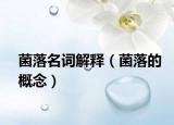 菌落名詞解釋（菌落的概念）