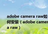 adobe camera raw如何安裝（adobe camera raw）