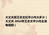 大丈夫里王志文比李小冉大多少（大丈夫 2014年王志文李小冉主演電視?。? /></span></a>
                        <h2><a  title=