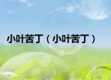 小葉苦?。ㄐ∪~苦丁）