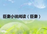 臣妻小說閱讀（臣妻）