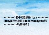 economic的中文意思是什么（economically是什么意思 economically的音標 economically的用法）