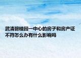 武清碧桂園一中心的房子和房產(chǎn)證不符怎么辦有什么影響嗎