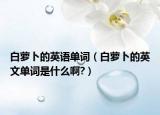 白蘿卜的英語(yǔ)單詞（白蘿卜的英文單詞是什么啊?）
