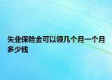 失業(yè)保險金可以領幾個月一個月多少錢