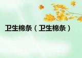 衛(wèi)生棉條（衛(wèi)生棉條）