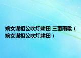 嫡女謀相公吹燈耕田 三更雨歇（嫡女謀相公吹燈耕田）