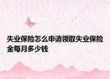 失業(yè)保險怎么申請領(lǐng)取失業(yè)保險金每月多少錢