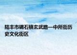 陸豐市碣石鎮(zhèn)玄武路—中所街歷史文化街區(qū)
