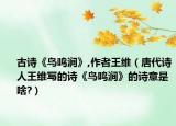 古詩《鳥鳴澗》,作者王維（唐代詩人王維寫的詩《鳥鳴澗》的詩意是啥?）