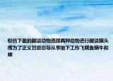 模仿下面的趣談動物選擇兩種動物進(jìn)行趣談貓頭鷹為了正義甘愿忍辱從事地下工作飛蛾魚蝸牛和蟬