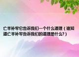 亡羊補牢它告訴我們一個什么道理（誰知道亡羊補牢告訴我們的道理是什么?）
