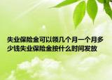 失業(yè)保險金可以領(lǐng)幾個月一個月多少錢失業(yè)保險金按什么時間發(fā)放
