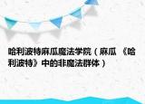 哈利波特麻瓜魔法學院（麻瓜 《哈利波特》中的非魔法群體）