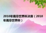 2010年南非世界杯決賽（2010年南非世界杯）