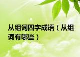 從組詞四字成語(yǔ)（從組詞有哪些）