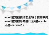 scarf的復數(shù)英語怎么寫（英文單詞scarf的復數(shù)形式是什么?是scarfs還是scarves?）