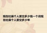 現(xiàn)在社保個(gè)人要交多少錢一個(gè)月現(xiàn)在社保個(gè)人要交多少年
