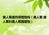 美人蕉是熱帶植物嗎（美人蕉 美人蕉科美人蕉屬植物）