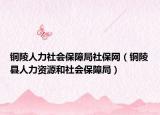 銅陵人力社會保障局社保網(wǎng)（銅陵縣人力資源和社會保障局）