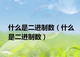 什么是二進(jìn)制數(shù)（什么是二進(jìn)制數(shù)）