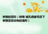樹(shù)懶的百科（樹(shù)懶 哺乳綱披毛目下樹(shù)懶亞目動(dòng)物的通稱）