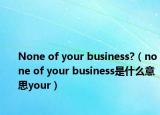 None of your business?（none of your business是什么意思your）
