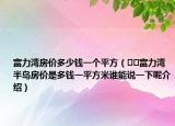 富力灣房價多少錢一個平方（??富力灣半島房價是多錢一平方米誰能說一下呢介紹）