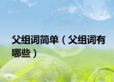 父組詞簡單（父組詞有哪些）