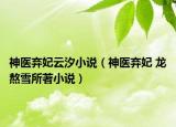 神醫(yī)棄妃云汐小說（神醫(yī)棄妃 龍熬雪所著小說）