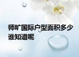 師曠國際戶型面積多少誰知道呢