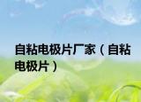 自粘電極片廠家（自粘電極片）