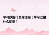 蘋可以組什么詞語呢（蘋可以組什么詞語）