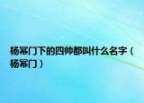 楊冪門下的四帥都叫什么名字（楊冪門）