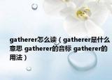 gatherer怎么讀（gatherer是什么意思 gatherer的音標(biāo) gatherer的用法）