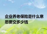 企業(yè)養(yǎng)老保險(xiǎn)是什么意思要交多少錢